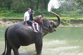 Hotel Parkside & Swimming Pool-Between Greenery and Azure ,Your Perfec