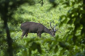 Hotel Parkside & Swimming Pool-Between Greenery and Azure ,Your Perfec