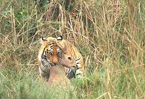 Hotel Parkside & Swimming Pool-Between Greenery and Azure ,Your Perfec