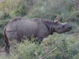 Hotel Parkside & Swimming Pool-Between Greenery and Azure ,Your Perfec