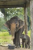 Hotel Parkside & Swimming Pool-Between Greenery and Azure ,Your Perfec