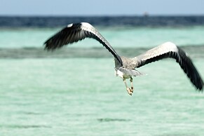 Diamonds Athuruga Maldives Resort & Spa