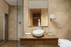 Radisson Blu Hotel New Delhi Dwarka