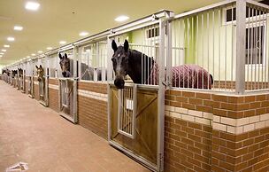 Padok Premium Hotel and Stables