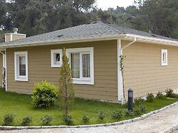 Padok Premium Hotel and Stables