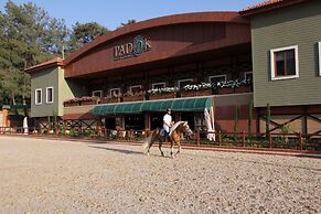 Padok Premium Hotel and Stables