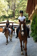 Padok Premium Hotel and Stables