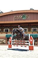 Padok Premium Hotel and Stables