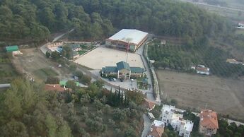 Padok Premium Hotel and Stables