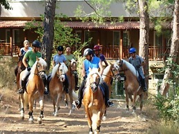 Padok Premium Hotel and Stables