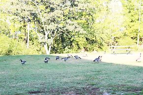 Arbors at Island Landing Hotel & Suites