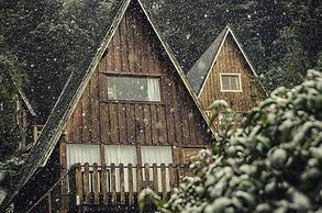 Cabañas Villa Pañil