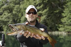 Cabañas Villa Pañil