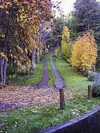 Cabañas Villa Pañil