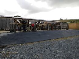 Willow Spring Way Station Bed & Breakfast