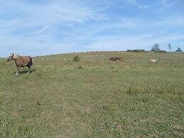 Willow Spring Way Station Bed & Breakfast
