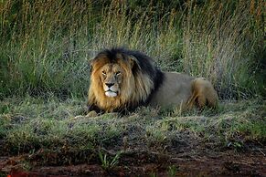 African Hills Safari Lodge & Spa