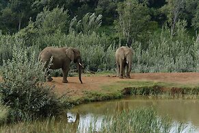 African Hills Safari Lodge & Spa