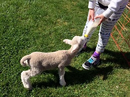 Tasman Holiday Parks - Te Anau