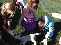 Tasman Holiday Parks - Te Anau