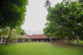 The Palms