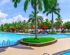 The Palms