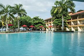 The Palms