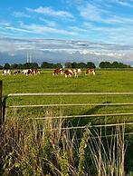 Hotel de Roode Leeuw