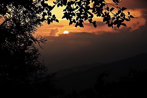 Club Himalaya, by ACE Hotels