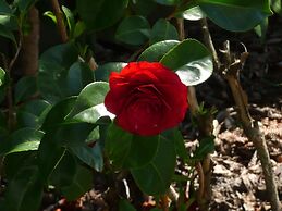 Kershaw House Boutique Accommodation