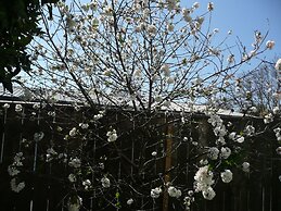 Kershaw House Boutique Accommodation