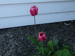 Kershaw House Boutique Accommodation