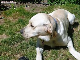 Kershaw House Boutique Accommodation