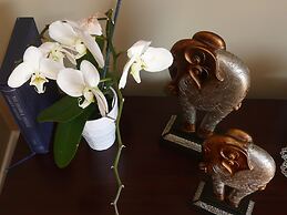 Kershaw House Boutique Accommodation