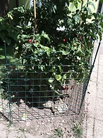 AJO Vienna Garden - Contactless Check-in