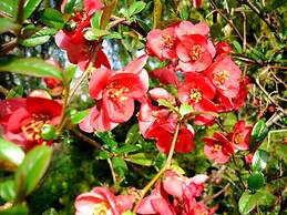 Resort Costa Morroni