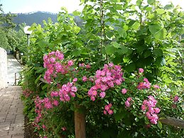 Resort Costa Morroni