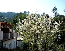 Resort Costa Morroni