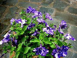 Resort Costa Morroni