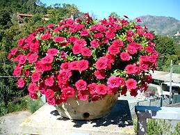 Resort Costa Morroni