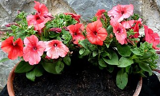 Resort Costa Morroni