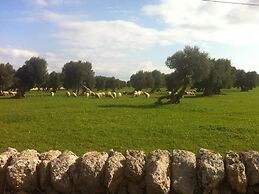 Masseria Pelosella B&B