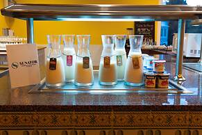 Senator Marbella Hotel