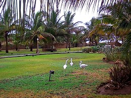 Ocean Beach Resort & Spa