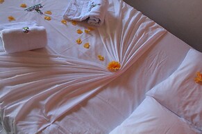 Pousada Papagaio - Hostel