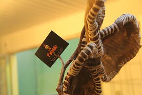 Pousada Papagaio - Hostel