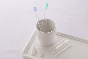 Ark Hotel Osaka Shinsaibashi