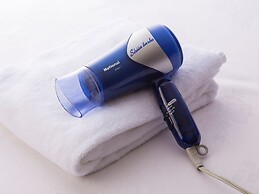 Ark Hotel Royal Fukuoka Tenjin