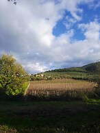 Borgo Cenaioli