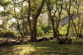 Onar Andros